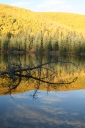 autumn beaver pond